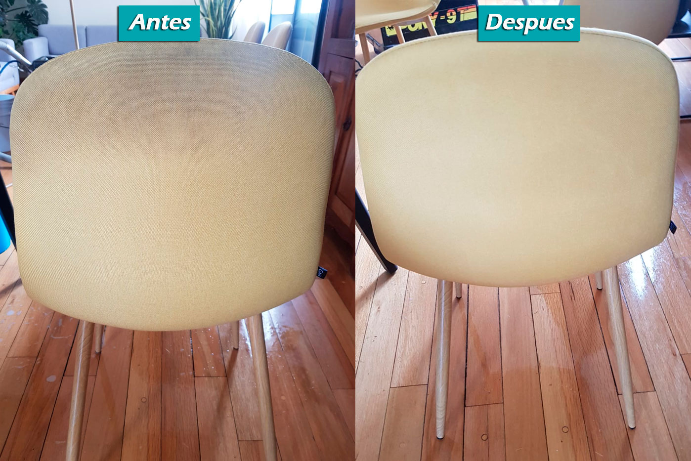 Limpieza de Sillas en Empresas