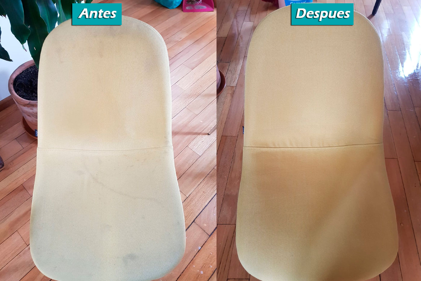 Limpieza de Sillas en Empresas