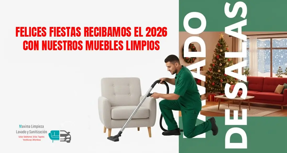 lavado de salas a domicilio