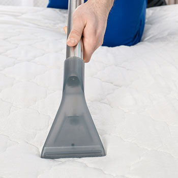 LAVADO DE SALAS y MUEBLES DE TELA